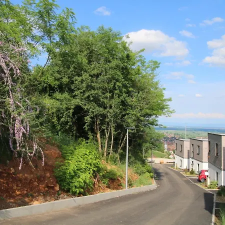 Alsace Panorama Villa