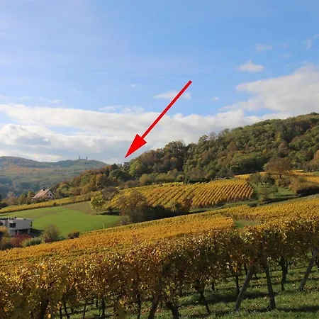 Villa Alsace Panorama *