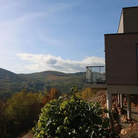 Villa Alsace Panorama Barr
