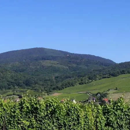 Villa Alsace Panorama