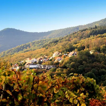 Villa Alsace Panorama *