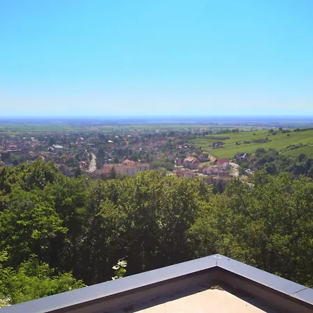 Alsace Panorama Villa Barr