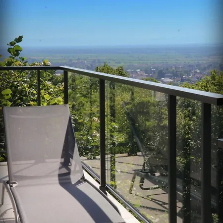 Alsace Panorama Villa *